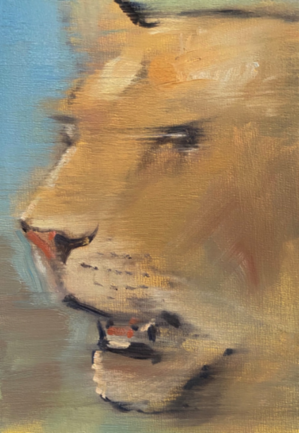 Gregg Chadwick
Panthera Leo
7"x5" oil on panel 2021
Private Collection, Los Angeles
Sold December 2022